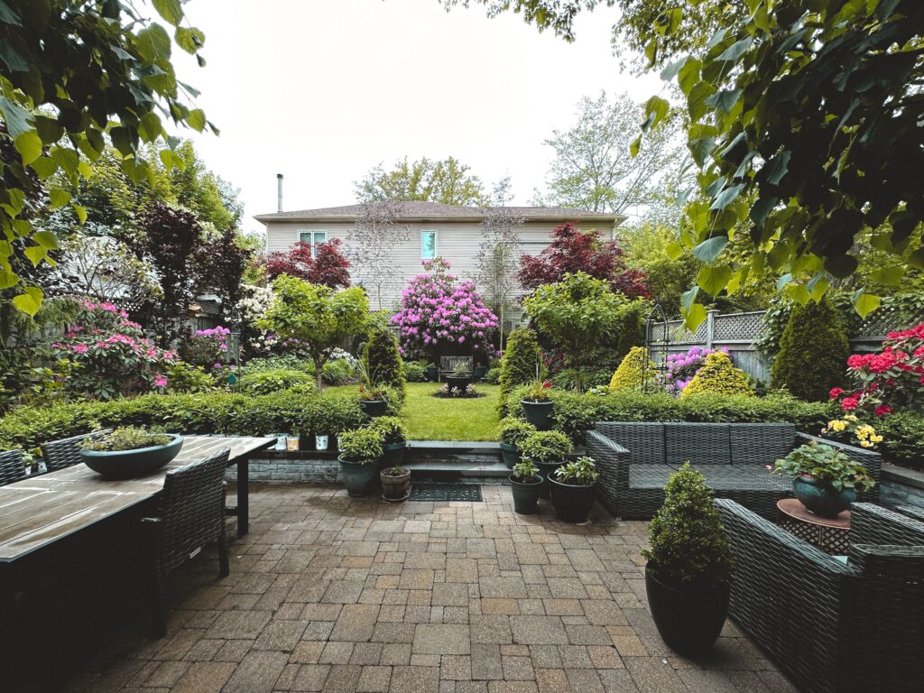 Patio garden with plants that keep wasps away naturally